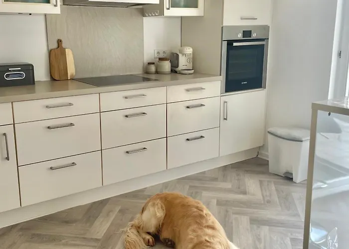 Rehblick Gorxheimertal